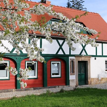 Ferienwohnung In Kurort Jonsdorf Mit Terrasse, Grill Und Garten エクステリア 写真