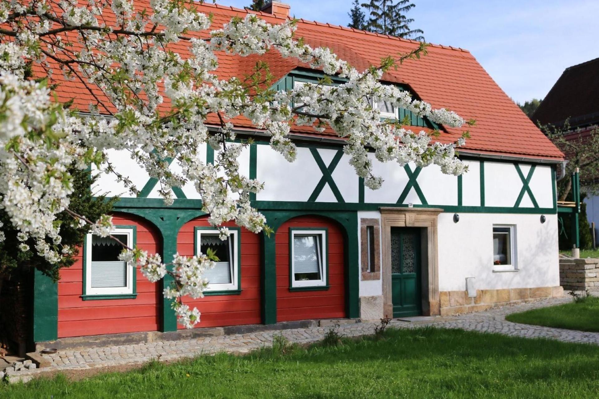 Ferienwohnung In Kurort Jonsdorf Mit Terrasse, Grill Und Garten エクステリア 写真